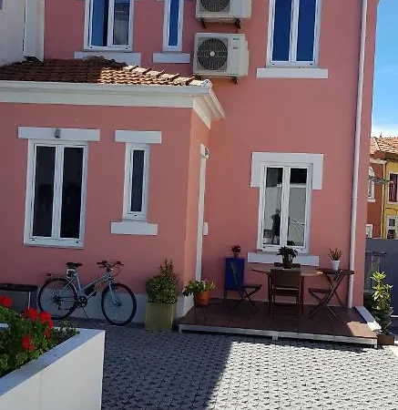 Luxurious Pink House And Parking * Porto
