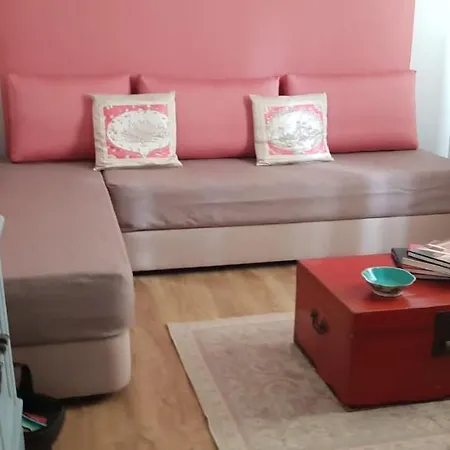 Luxurious Pink House And Parking ポルト
